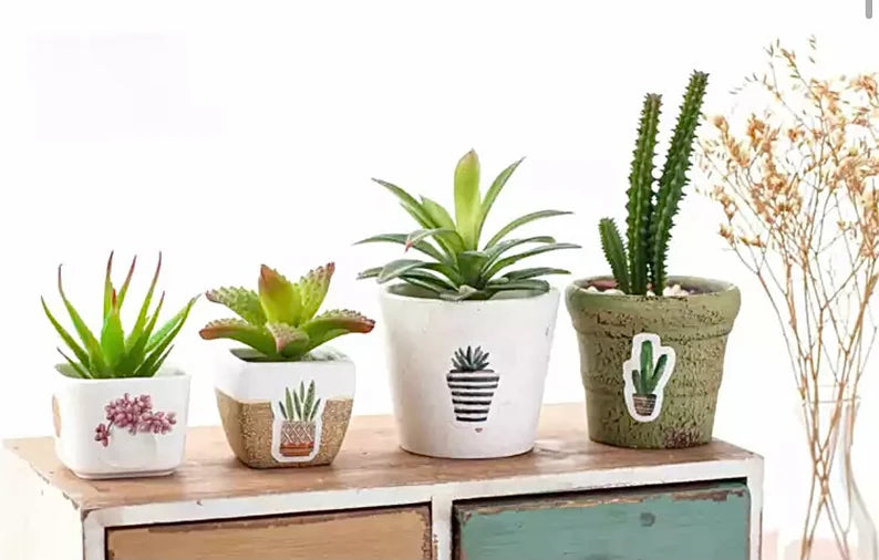 Boho House Plant Stickers