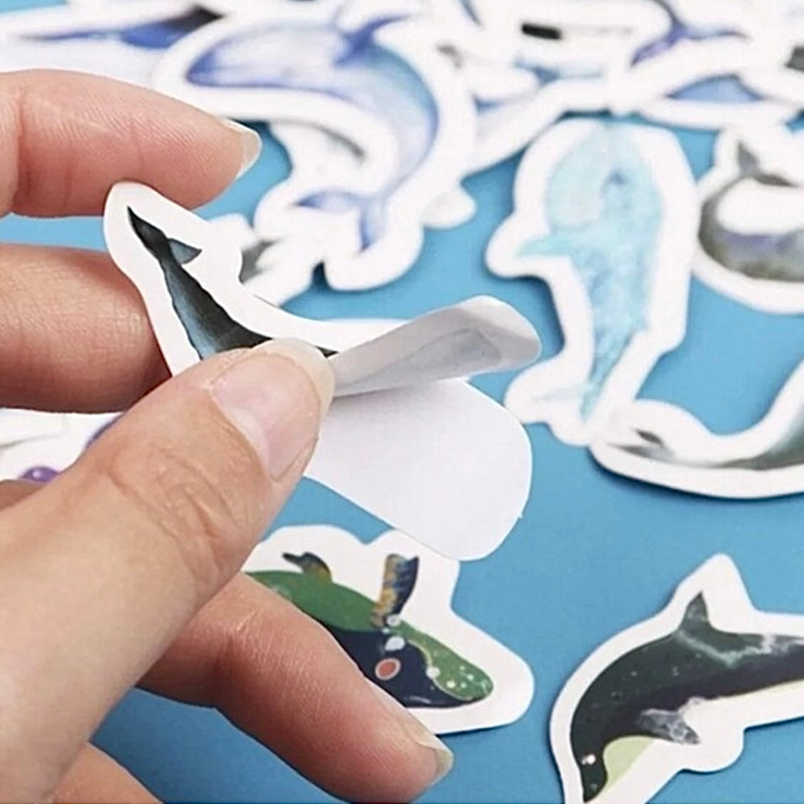 Whale Stickers