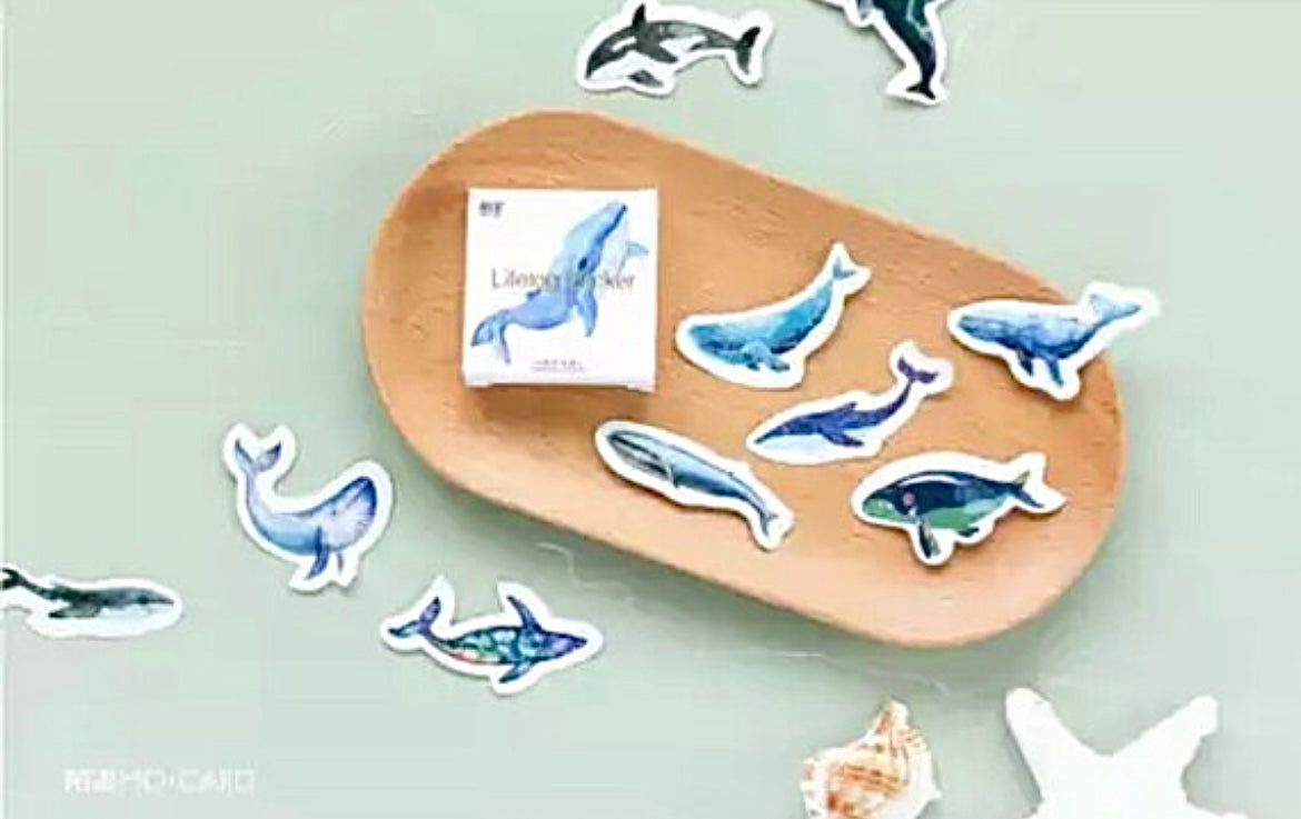 Whale Stickers