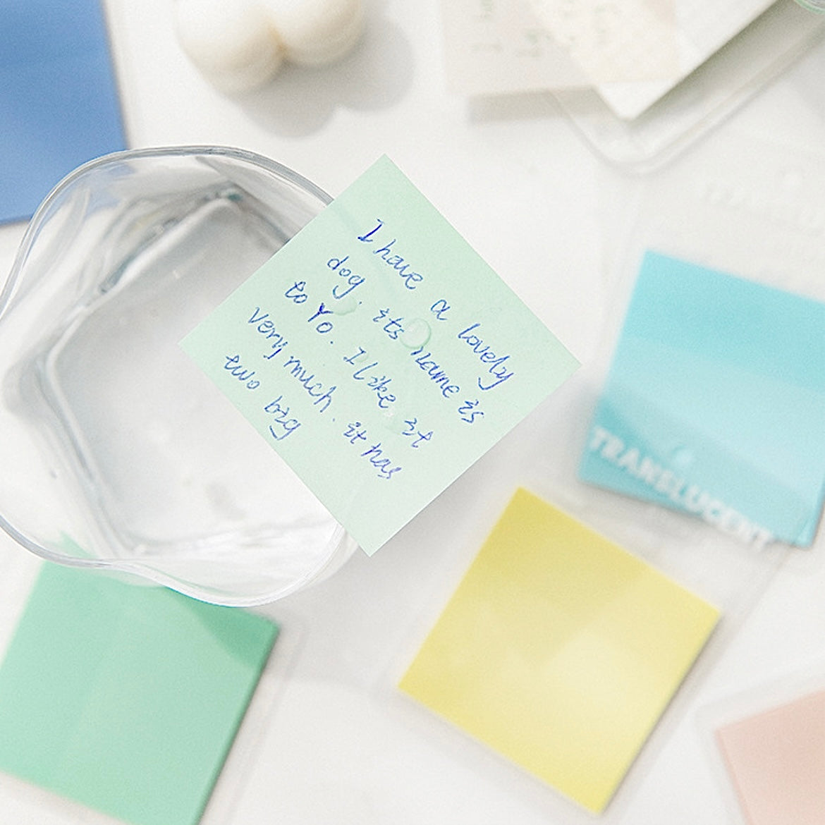 Coloured Transparent Sticky Notes
