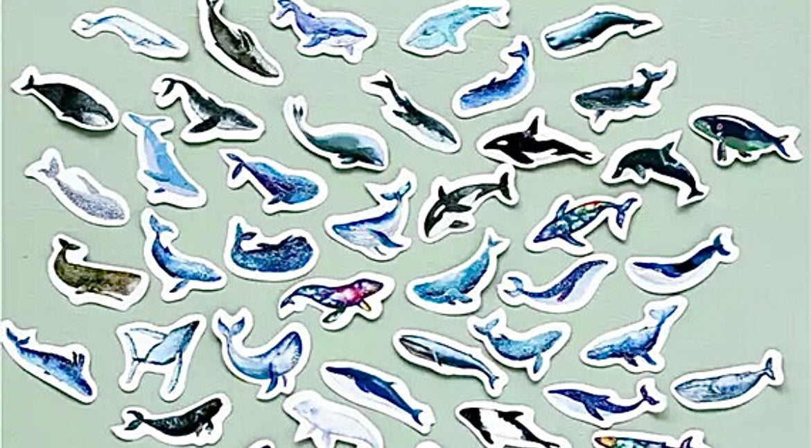 Whale Stickers