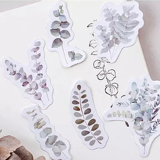 Eucalyptus Stickers