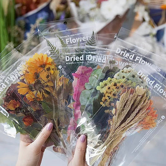 large pressed flower stickers